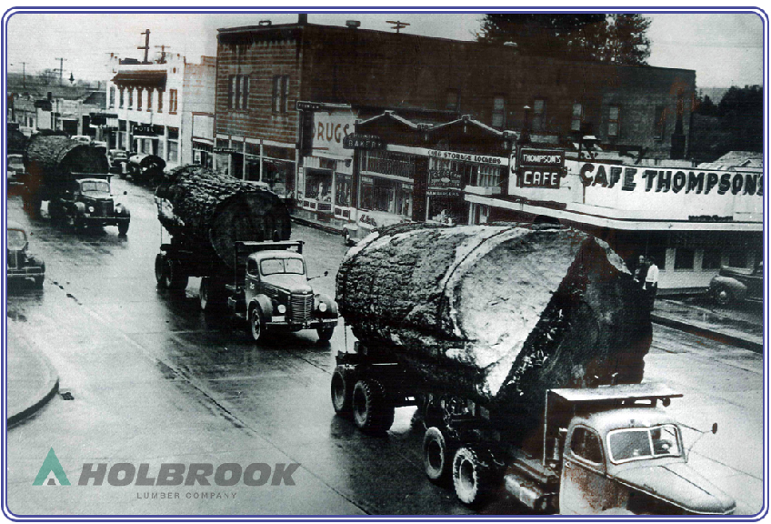 historic picture of Holbrook Lumber in earlier days